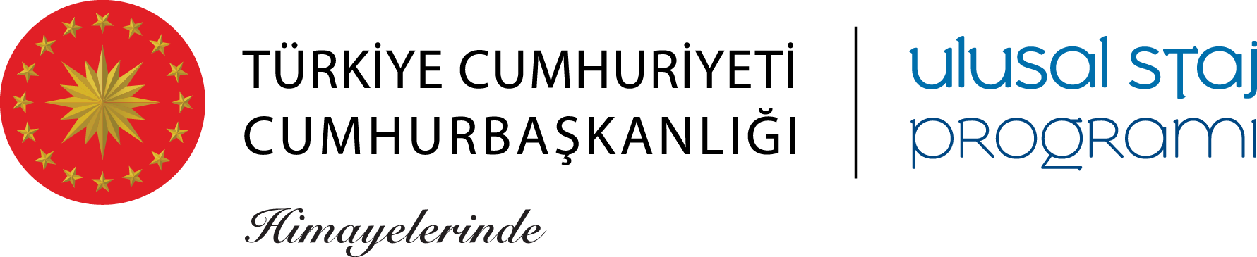 Ulusal Staj Programı